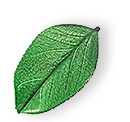 floating_leaf_01 https://entretientjd.com/wp-content/uploads/2025/07/floating_leaf_01.png